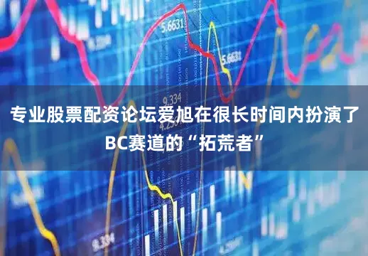 专业股票配资论坛爱旭在很长时间内扮演了BC赛道的“拓荒者”